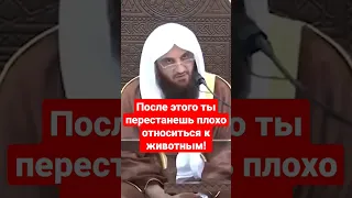 Вот какое наказание Аллаха ждёт тех, кто издевается над животными!