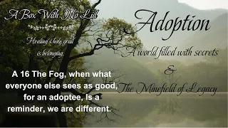 A 16 The Fog, when what everyone else sees as good, for an adoptee is a reminder we are different.