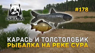 Карась и Толстолобик. Рыбалка на реке Сура - Русская Рыбалка 4 #178