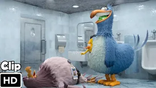 Toilet Scene Hindi Angry Bird 2 Hindi HD 4K BlueRay Clip