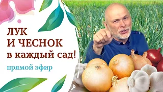 ЛУК и ЧЕСНОК ВПЕЧАТЛЯТ УРОЖАЕМ !