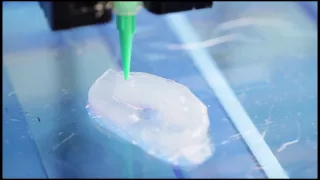 Scientists Use 3D Printer and Living "Ink" to Create Body Parts