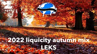 2022 Liquicity Autumn Mix - LEKS