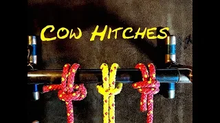 Cow Hitch - Pedigree Cow Hitch - Cow Hitch Variant - How to Tie the Cow Hitch