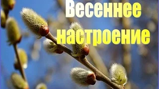 Видео-поздравление с Весной. Весеннее настроение.