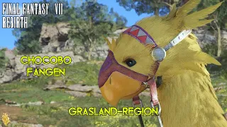 Final Fantasy VII Rebirth - Chocobo fangen in der Grasland-Region