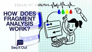 How does Fragment Analysis work? – Seq It Out #3