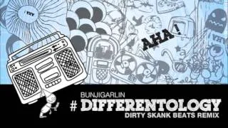 Bunji Garlin - Differentology (Dirty Skank Beats Remix)