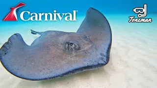 Stingray City in Grand Cayman! [Carnival Cruises Rays & Reef Snorkel Excursion]