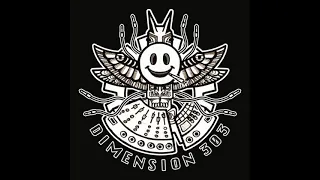 Dimension303 - Lysergic Tribe