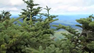 Grandfather Mountain - swinging bridge to Calloway Peak