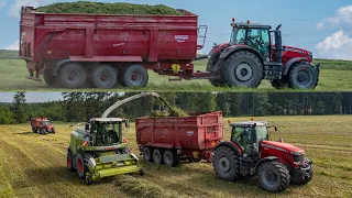 Silage with CLAAS Jaguar 950 and MASSEY FERGUSON tractors | ZAS Krucemburk