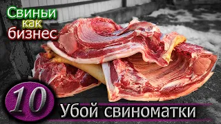 Коротко о породах: дюрок, ландрас и крупная белая