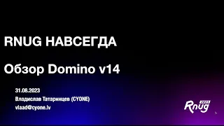 Обзор Domino v14