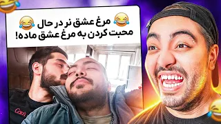 بهترین میمو بساز یه ملیون تومن ببر !!