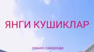 Уйқуси қочганлар учун