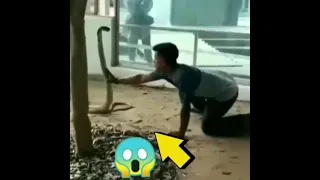 snake is eating human 😱😱😱😱