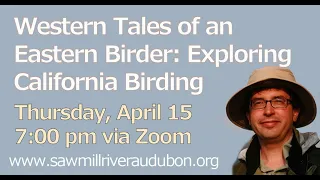 Western Tales of an Eastern Birder: Exploring California Birding