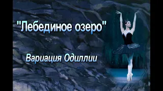 П. И. Чайковский «Лебединое озеро». Вариация Одиллии и кода из III акта балета