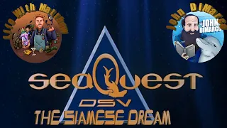 SeaQuest (1994) | 02x20 - The Siamese Dream