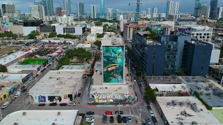 The Amazing Ske. For moxy wynwood.  2023  Miami