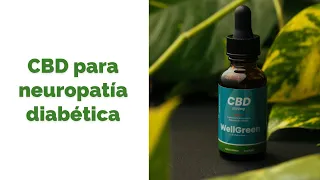 CBD para neuropatía diabética | WellGreen