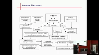 Анемия у пациентов с солидными опухолями  Дифференциальный диагноз (А.Б. Федоров)
