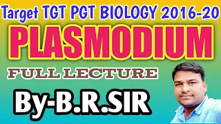 Plasmodium: Malarial parasite full lecture || UPTGT PGT BIOLOGY 2020 || plasmodium vivax
