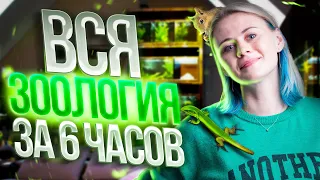 Вся зоология за 6 часов | Биология ЕГЭ — Напольская Ксения