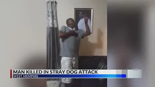 1 dead, 1 hurt in West Memphis dog attacks