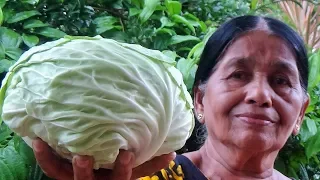 Village Foods ❤ Cabbage and Egg Stir Fry Recipe by my Mom