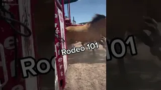 Rodeo 101: Why Bareback Riders Tape Their Arm Before Competition