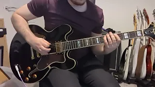 Another Celebration at the End of the World Mammoth WVH Guitar cover (HD)