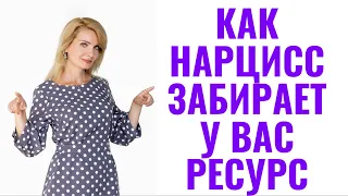 Как нарцисс забирает у вас ресурс: 6 каналов