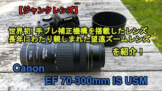 【ジャンクレンズ】Canon EF 70-300mm IS USM  手ブレ補正機構を搭載した長年親しまれた望遠レンズを紹介！