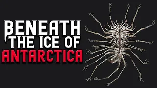 "Beneath The Ice of Antarctica" Scary Stories Found on The Internet | Creepypasta