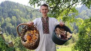 Ніде грибів нема, А В КАРПАТАХ ДВА ГУЦУЛИ НАЗБИРАЛИ ПО ВІДРУ В КІНЦІ СЕРПНЯ