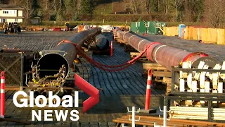 BC's fight for fuel: Trans Mountain hopes to restart pipeline at reduced capacity in days