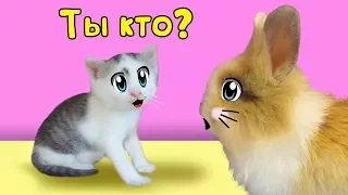 МАЛЮТКА КОТЕНОК и КРОЛИК БАФФИ знакомство ! КОТ МАЛЫШ  и КОШЕЧКА МУРЗЯ