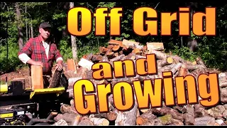 OFF GRID HOMESTEADING  The Solar Power, Chicken Coop and Woodshed Projects Have Begun