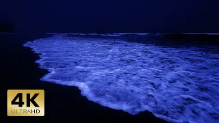 Relaxing Ocean Waves Sounds For Deep Sleep 4K | High Quality Stereo Sound for Healing and Deep Sleep