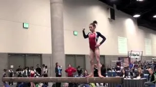 Natalie Sadighi California Classic Level 9 2014 1st Place AA