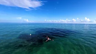 FPV Drone. Samana, Dominican Republic.