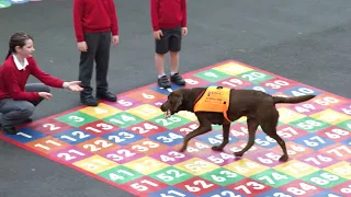 Therapy Dog Helps Kids Read And He Can Read Too! | Love Nature