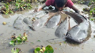 Omg! Amazing Hand Fishing Video 2023 Traditional Boy Catching Monster Fish In River Side.