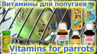 Vitamins for parrots. Витамины для попугаев