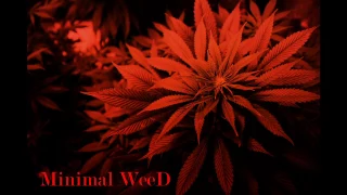 [Đestroÿer] - ★NEW★ Minimal WeeD Mix 2017 Minimal (Techno & Dance) #17