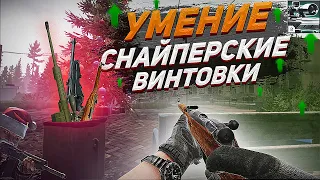 Как прокачать навык владения снайперскими винтовками в Таркове? | Tarkov Help