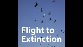 Flight to Extiction promo