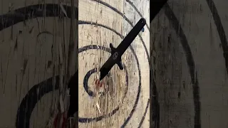 Can you hit the bullseye? | Knife Throwing